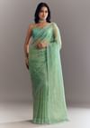Aqua Green Organza Saree With Stones Beads And Sequins Embroidery And Scallop Border