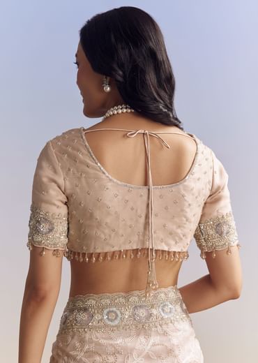 Baby Pink Organza Saree With Chikankari Threadwork And Beaded Embroidery
