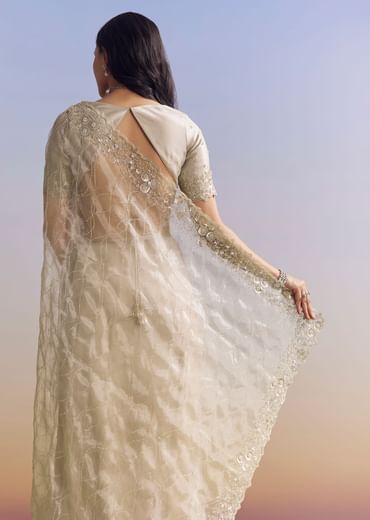 Beige Cream Tissue Saree With Floral Jaal