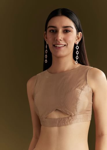 Beige Glass Tissue Embroidered Saree With Scallop Border
