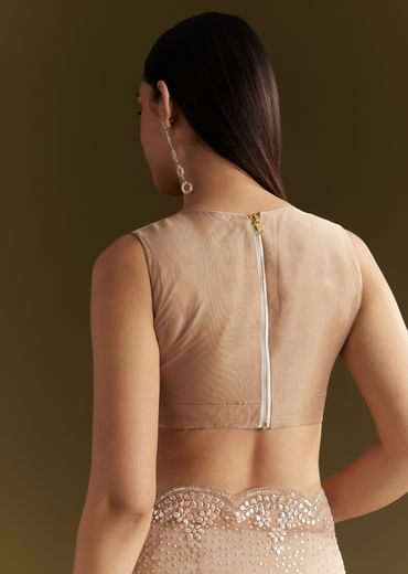 Beige Glass Tissue Embroidered Saree With Scallop Border