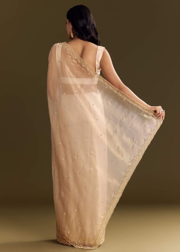 Beige Glass Tissue Saree With Cutdana And Beads Scallop Border