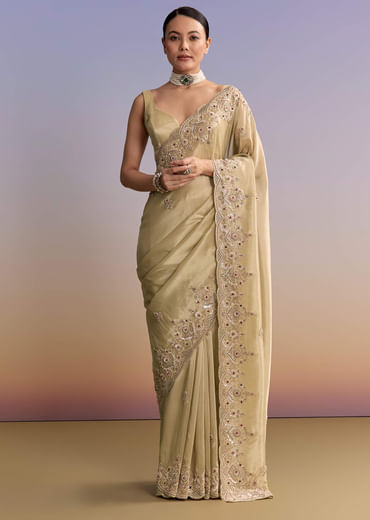 Beige Gold Tissue Embroidered Saree With Zardosi And Stone Work