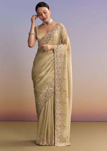 Beige Gold Tissue Embroidered Saree With Zardosi And Stone Work