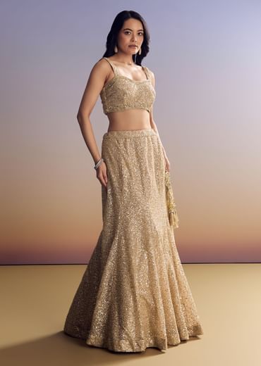 Beige Lehenga Set With Jacket And Cut Dana Embroidery