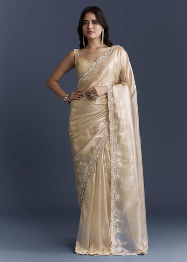 Beige Net Saree With Heavy Hand Embroidery