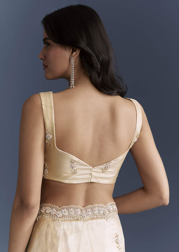 Beige Net Saree With Heavy Hand Embroidery