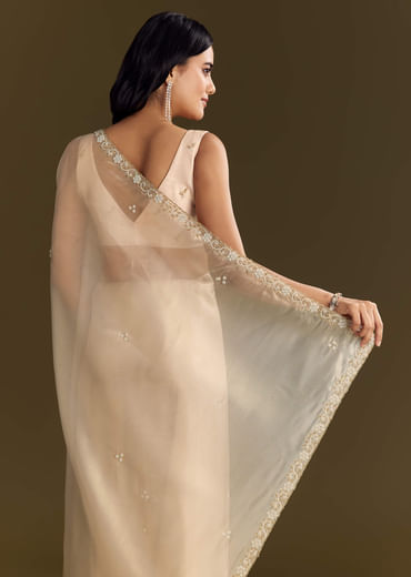 Beige Organza Tissue Saree With Cutdana And Beads Scallop Border