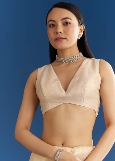 Beige Organza Tissue Saree With Embroidered Scallop