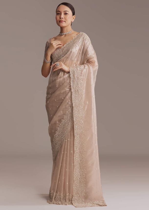 Beige Tissue Embroidered Saree With Cutwork Border