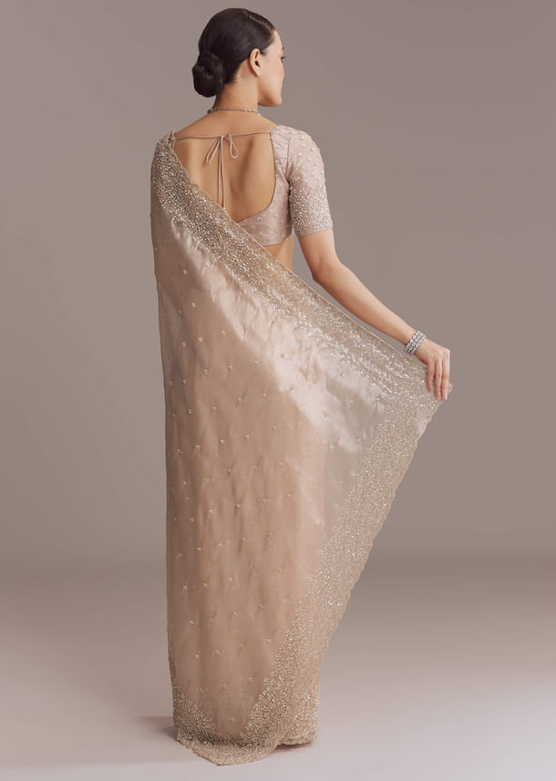 Beige Tissue Embroidered Saree With Cutwork Border