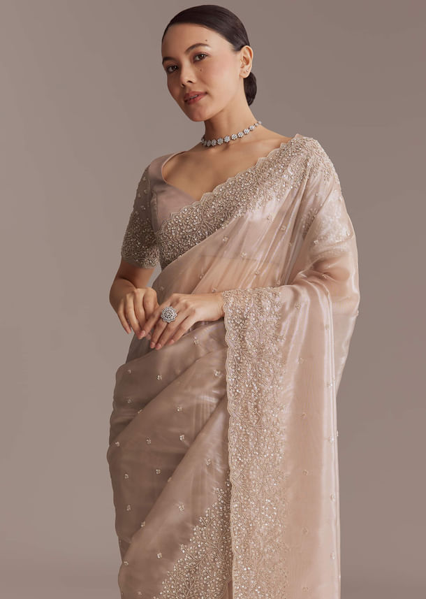 Beige Tissue Embroidered Saree With Cutwork Border