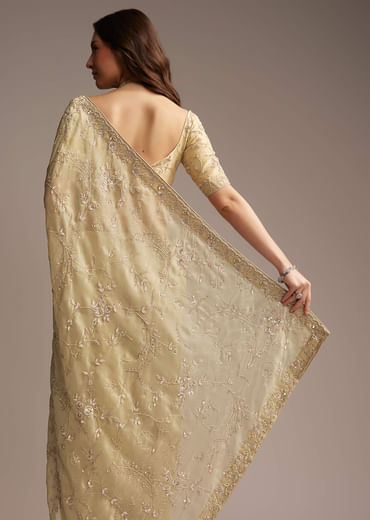 Beige Tissue Saree with Floral and Cutdana Embroidery