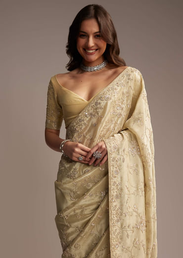 Beige Tissue Saree with Floral and Cutdana Embroidery