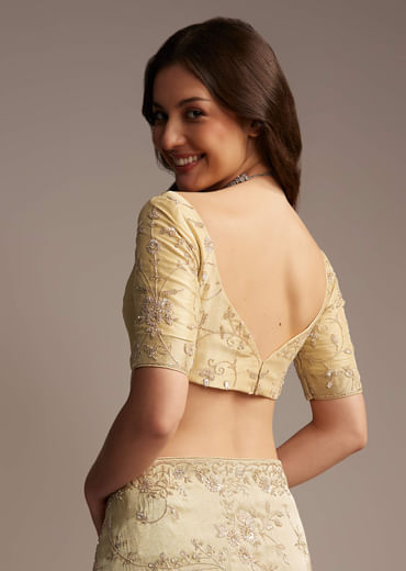Beige Tissue Saree with Floral and Cutdana Embroidery