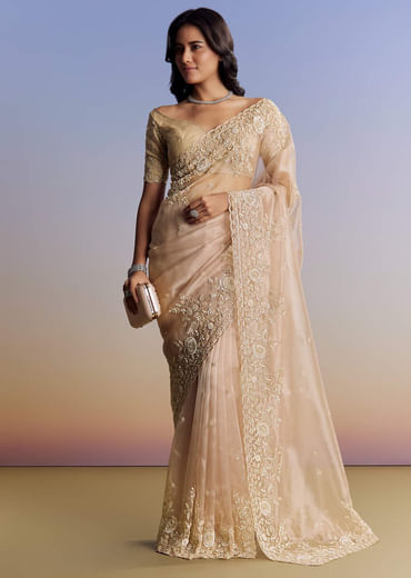 Beige Tissue Saree With Scallop Border And All Over Floral Embroidery