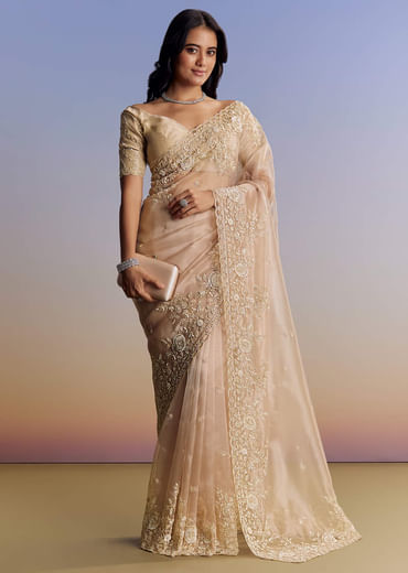 Beige Tissue Saree With Scallop Border And All Over Floral Embroidery