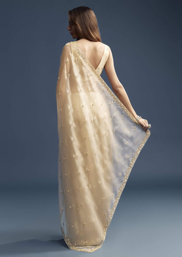 Beige Tissue Saree With Vine And Floral Embroidery
