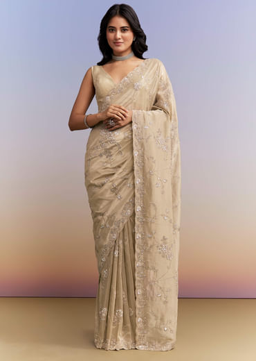 Beige Tissue Silk Saree With Heavy Hand Work