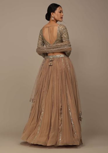 Beige Festive Sequins And Zari Embroidered Lehenga Set In Chinon