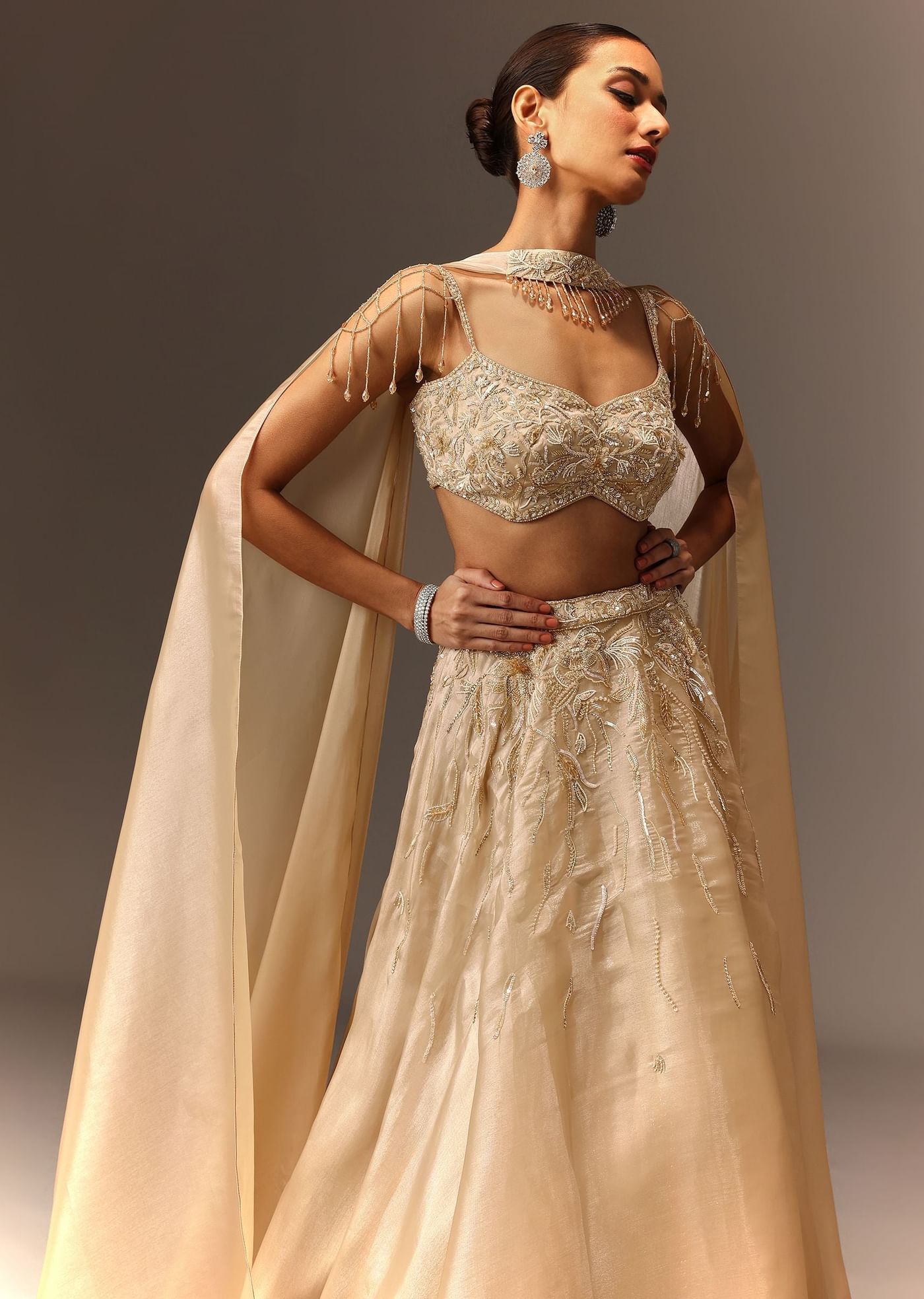 Beige Hand Embroidered Blouse With Skirt And Choker Dupatta