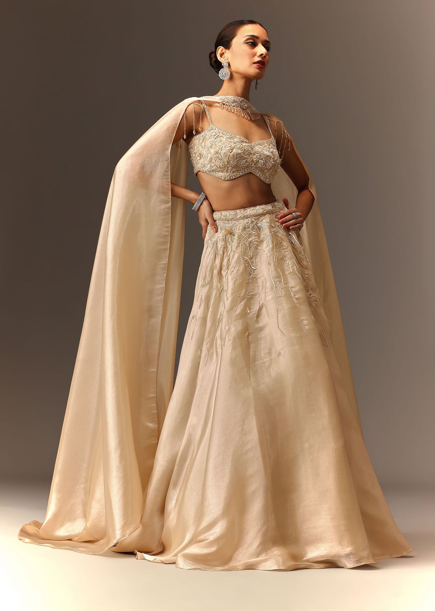 Beige Hand Embroidered Blouse With Skirt And Choker Dupatta
