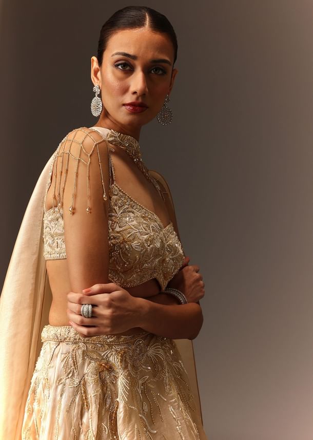 Beige Hand Embroidered Blouse With Skirt And Choker Dupatta