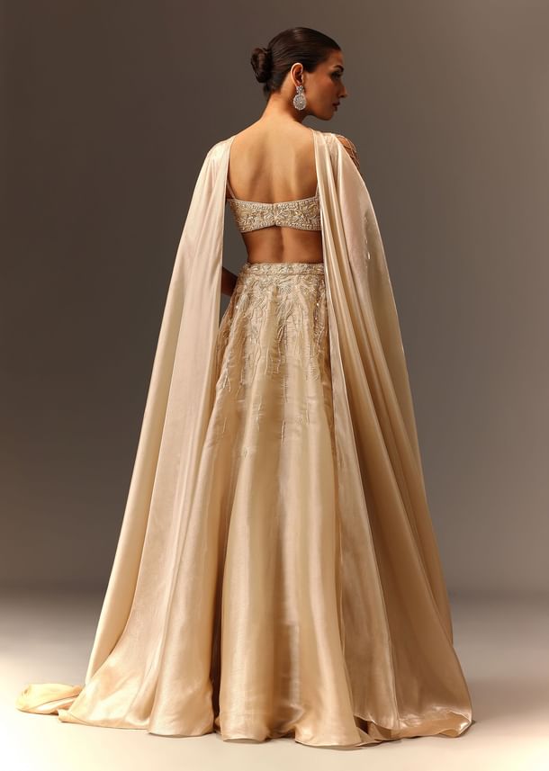 Beige Hand Embroidered Blouse With Skirt And Choker Dupatta