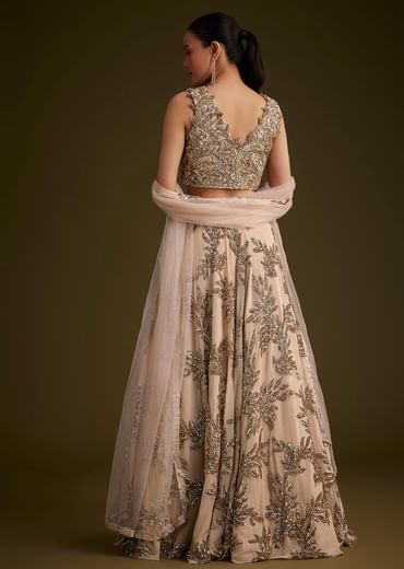 Beige Net Lehenga Set With Sequins Dupatta