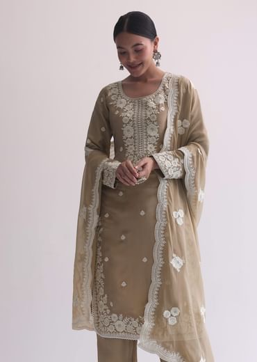 Beige Resham Threadwork Embroiderd Kurti Pant Set In Organza