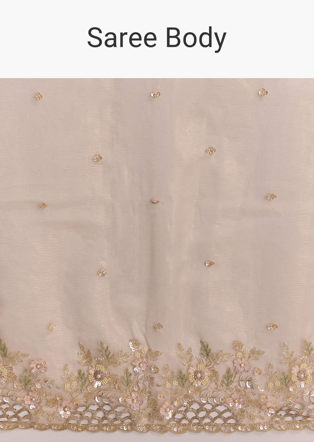 Beige Tissue Embroidered Saree With Floral Hand Embroidery