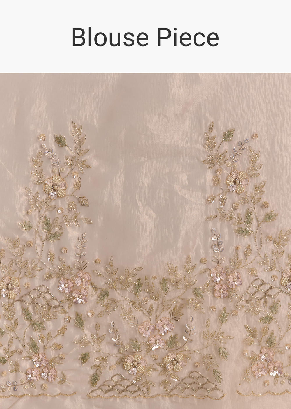 Beige Tissue Embroidered Saree With Floral Hand Embroidery