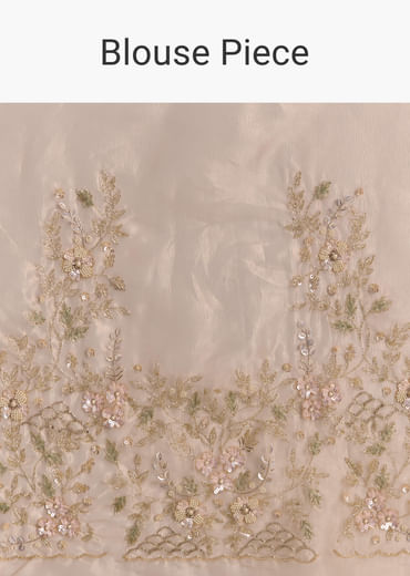 Beige Tissue Embroidered Saree With Floral Hand Embroidery
