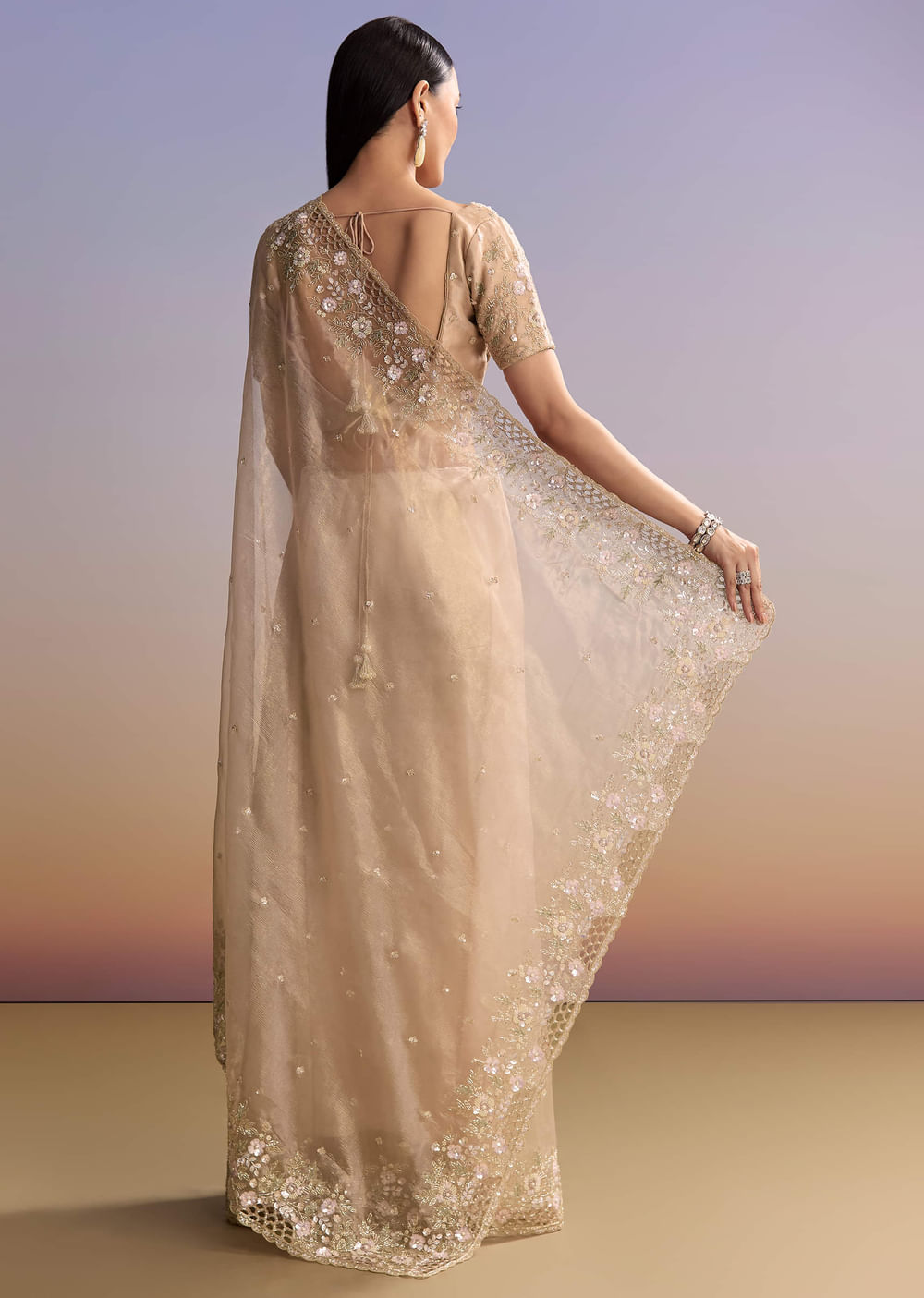 Beige Tissue Embroidered Saree With Floral Hand Embroidery