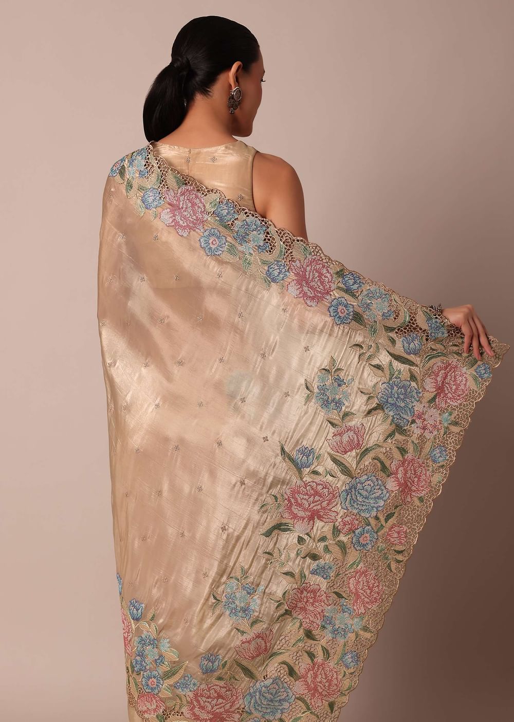 Beige Tissue Silk Saree With Resham Thread Embroidery