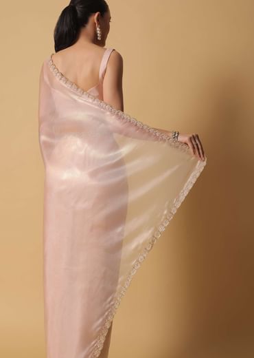 Beige Toned Foil Saree In Tissue With Cut Dana Embroidered Borders