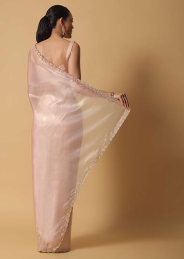 Beige Toned Foil Saree In Tissue With Cut Dana Embroidered Borders