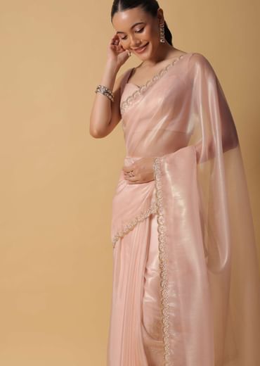 Beige Toned Foil Saree In Tissue With Cut Dana Embroidered Borders