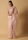 Beige Toned Foil Saree In Tissue With Cut Dana Embroidered Borders