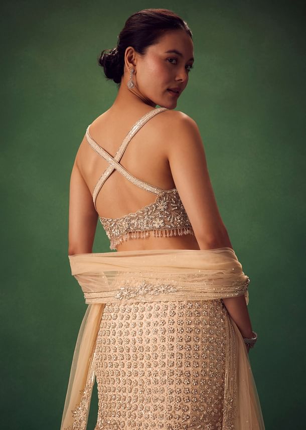 Blush Pink Fish Cut Sequin Lehenga Set