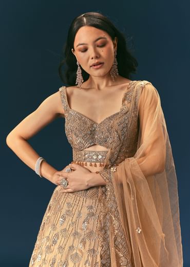 Bronze Organza Lehenga Set With Hand Work