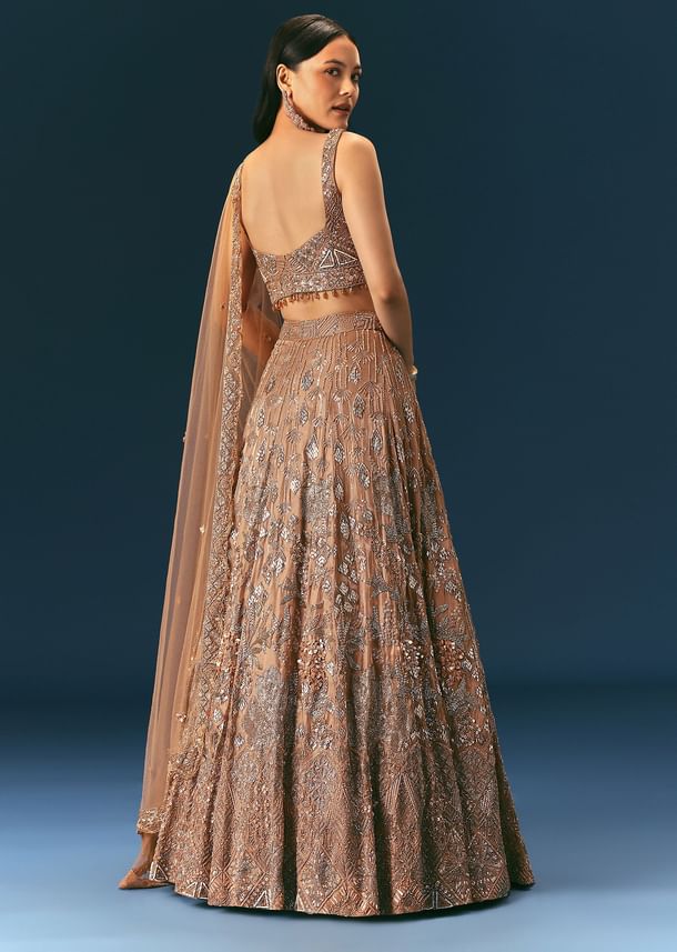 Bronze Organza Lehenga Set With Hand Work