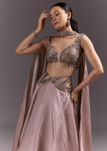 Brown Organza Lehenga With Sweetheart Neck Blouse And Choker Dupatta