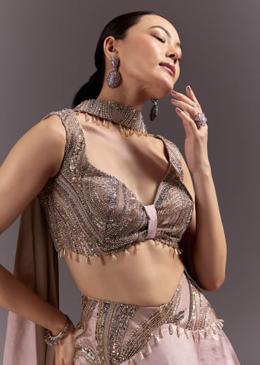 Brown Organza Lehenga With Sweetheart Neck Blouse And Choker Dupatta