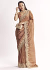 Brown Rust Crush Tissue Saree With Gota Zari And Beads Embroidery