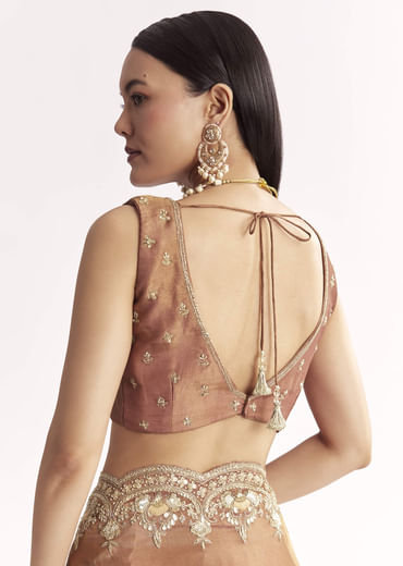 Brown Rust Crush Tissue Saree With Gota Zari And Beads Embroidery