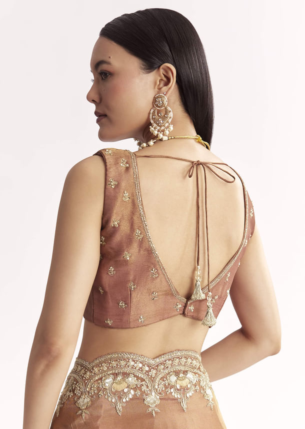 Brown Rust Crush Tissue Saree With Gota Zari And Beads Embroidery