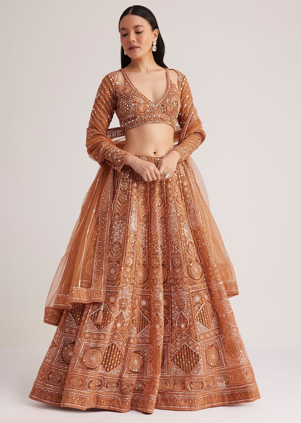 Brown Embellished Lehenga Set With Detailed Embroidery