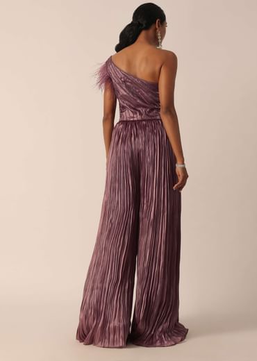 Brown Organza One Shoulder Jumpsuit With Feather Detail