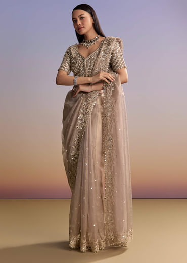 Brown Tissue Embroidered Saree With Resham And Sequin Work
